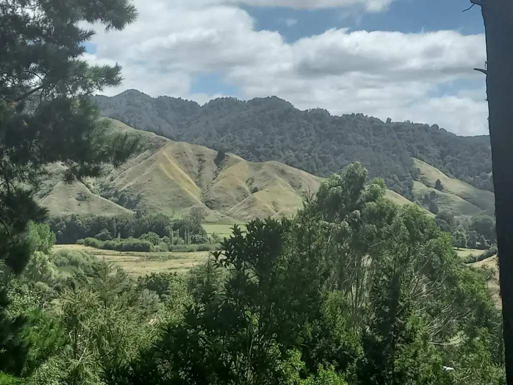 Views from bush walk