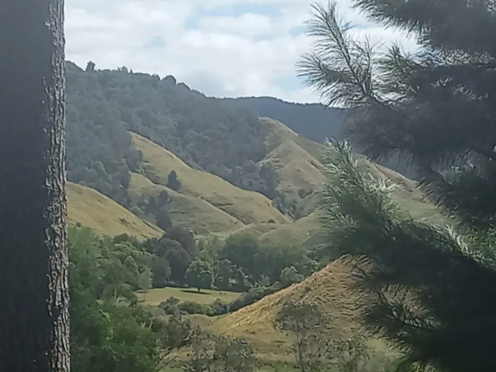 Views from bush walk