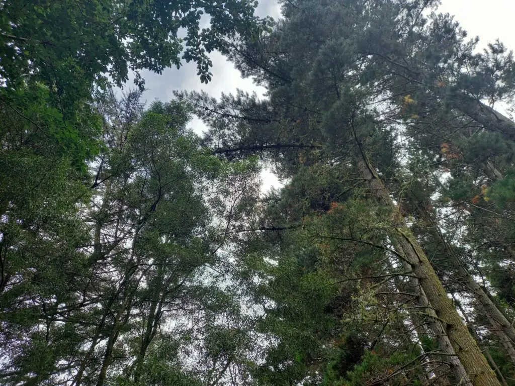 Views from bush walk
