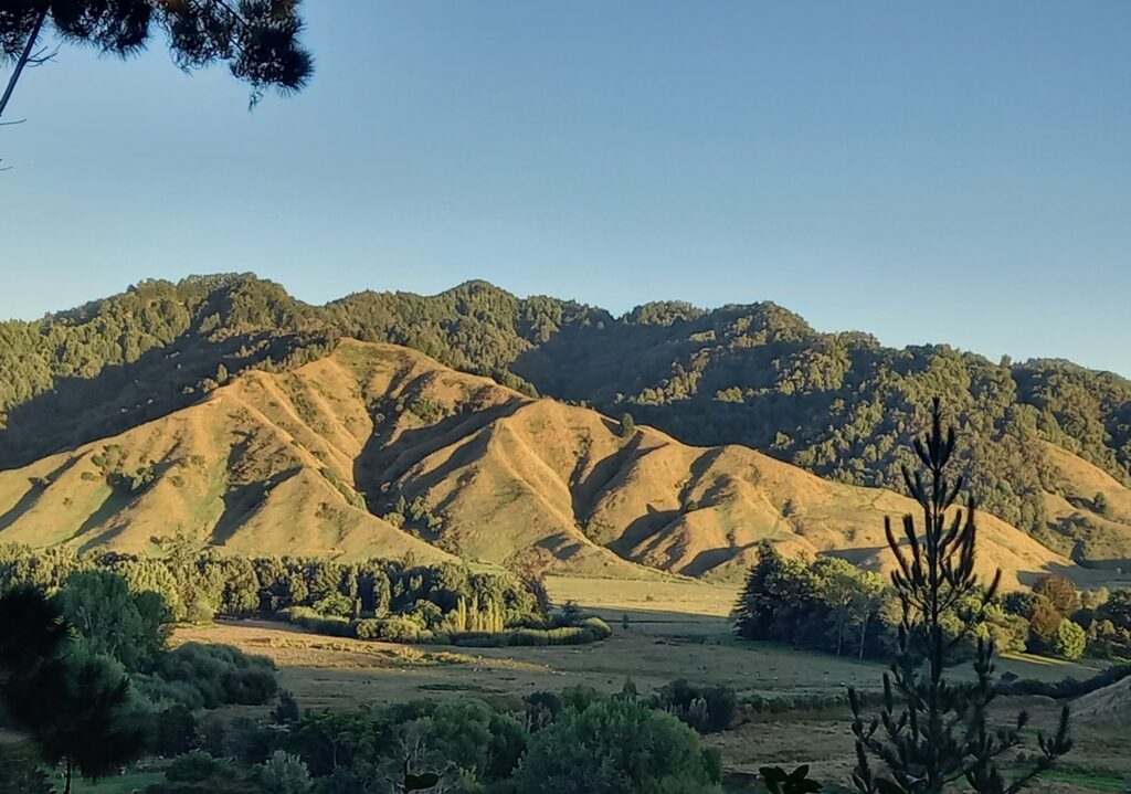 Views from bush walk